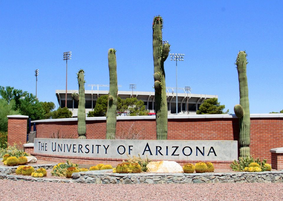 University of Arizona Provost Steps Down