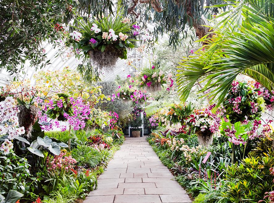 New York Botanical Garden Names Its First Female President and CEO