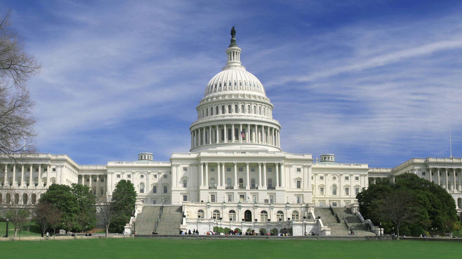 House Flip Insights: Appropriations