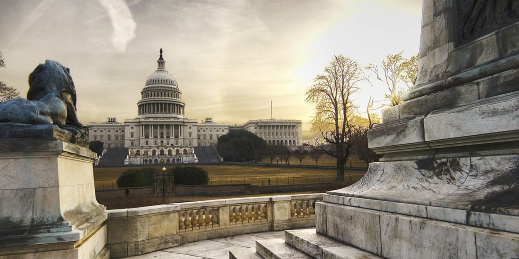 The Congressional Internship Journey: From Learning to Making a Difference